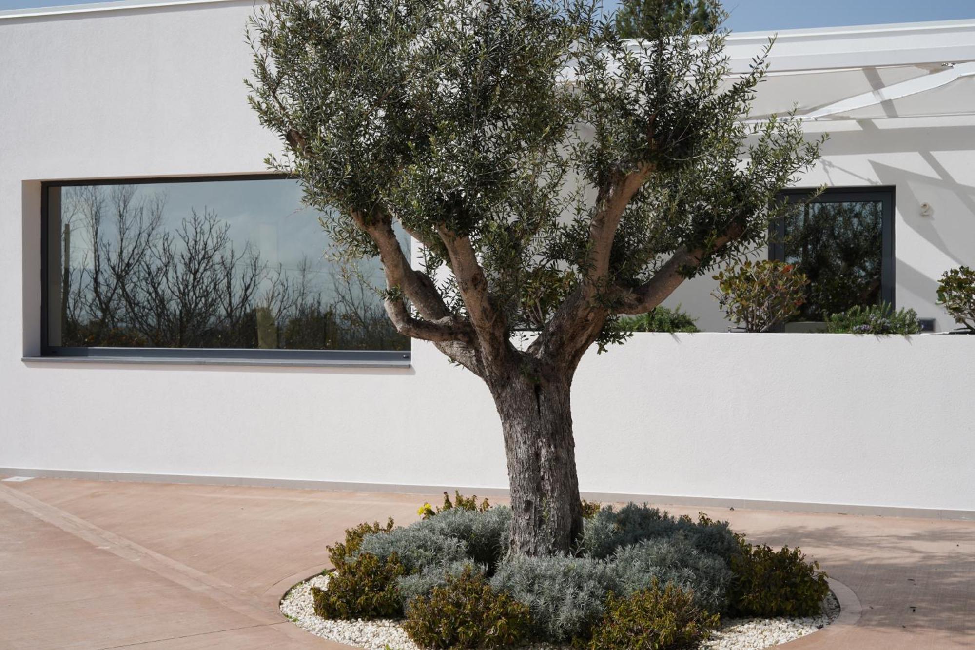 Tenuta San Marco Noto Buitenkant foto
